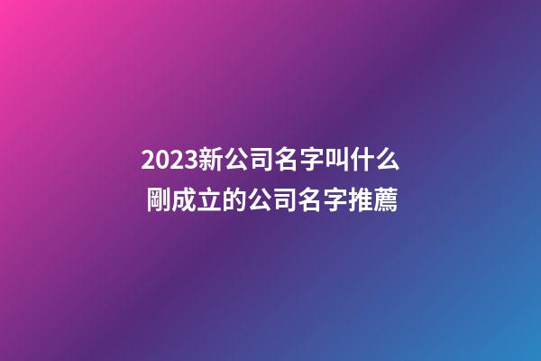 2023新公司名字叫什么 剛成立的公司名字推薦-第1張-公司起名-玄機派